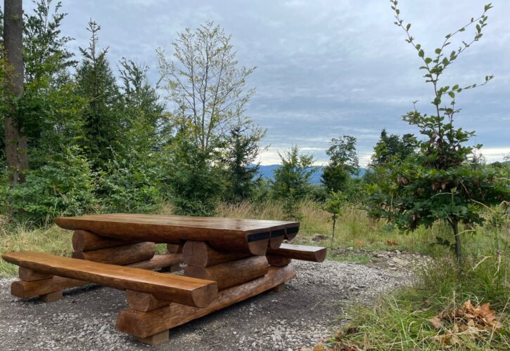 Mała architektura z drewna – klucz do naturalnych przestrzeni publicznych