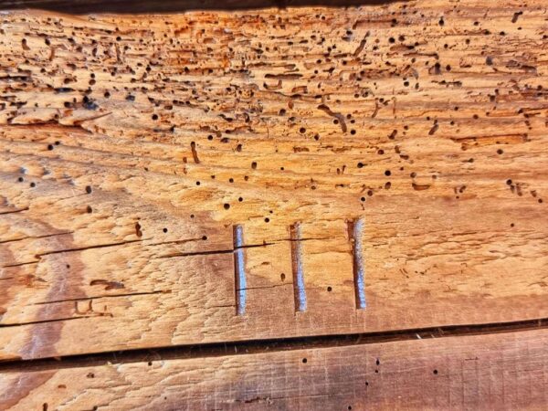 znaki ciesielskie stare drewno
