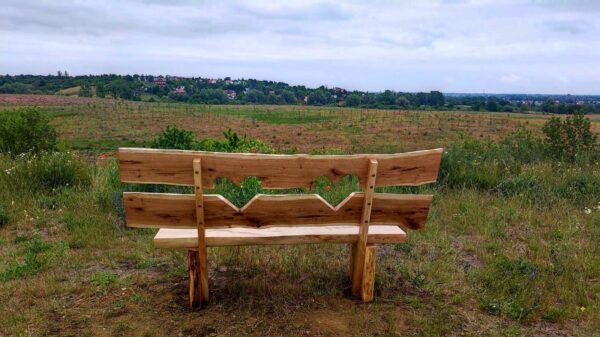 projekty małej architektury, ławka debowa do ogrodu, łąwka na sciezkę rekreacyjna, producent mebli z drewna dębowego, oryginalne meble do ogrodu